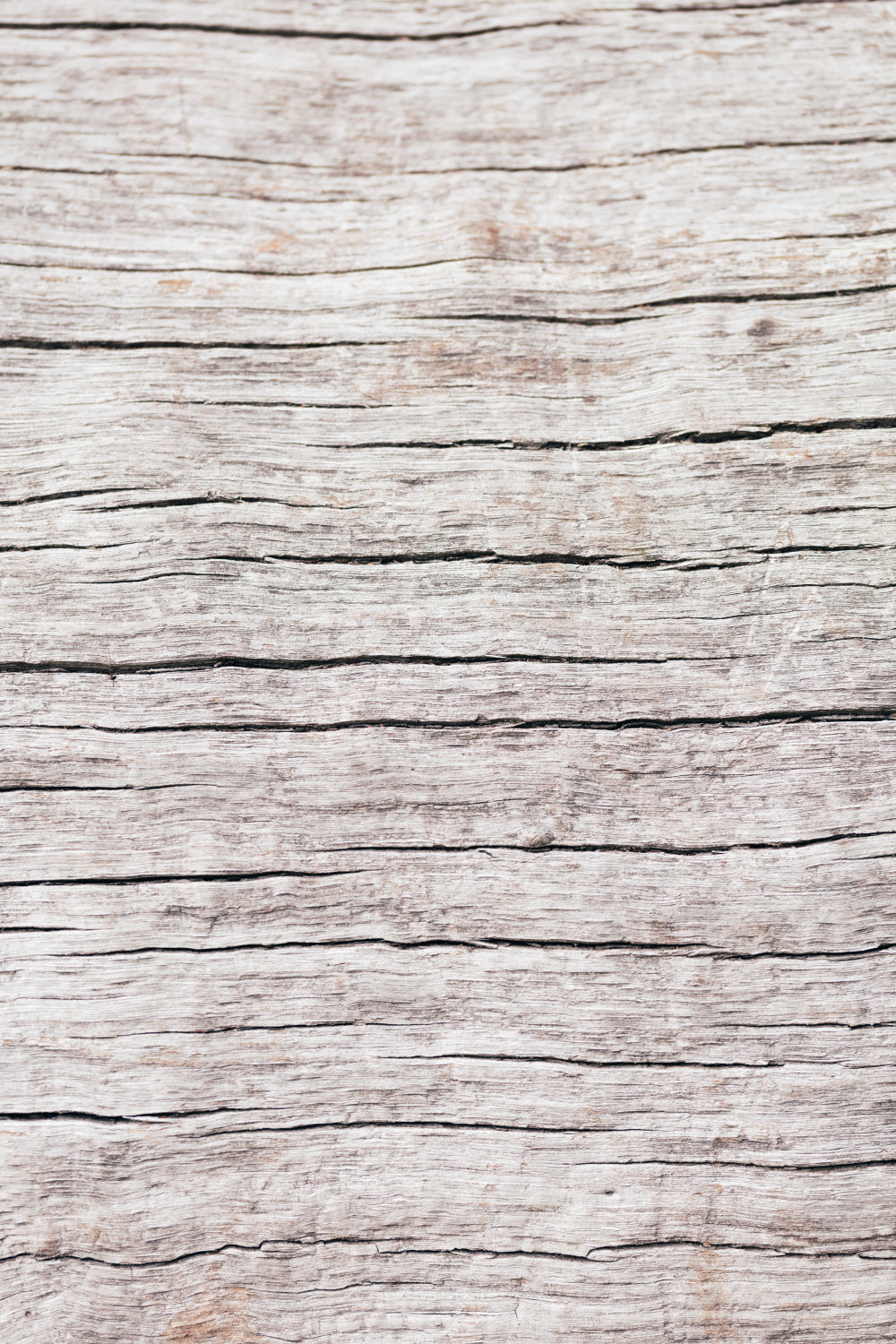 Wood close up Poster och Canvastavla