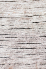 Wood close up Poster och Canvastavla