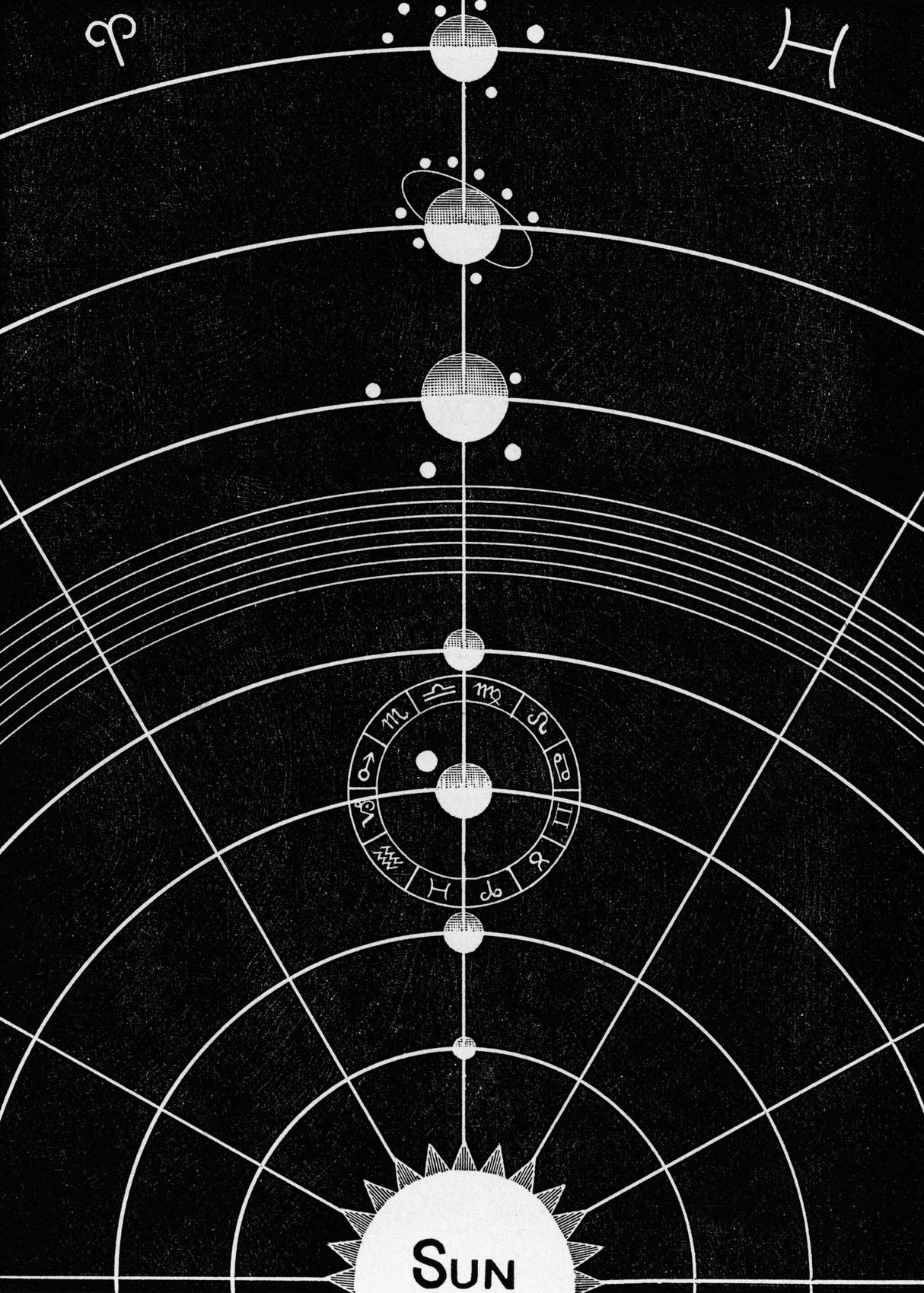 Solar Biology No. 5 Full Poster och Canvastavla