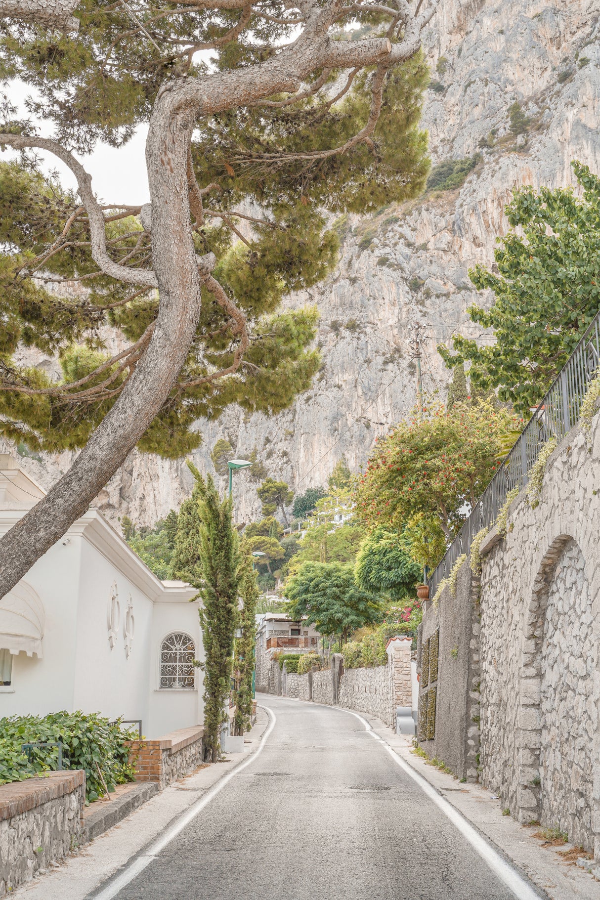 Streets of Capri Poster och Canvastavla
