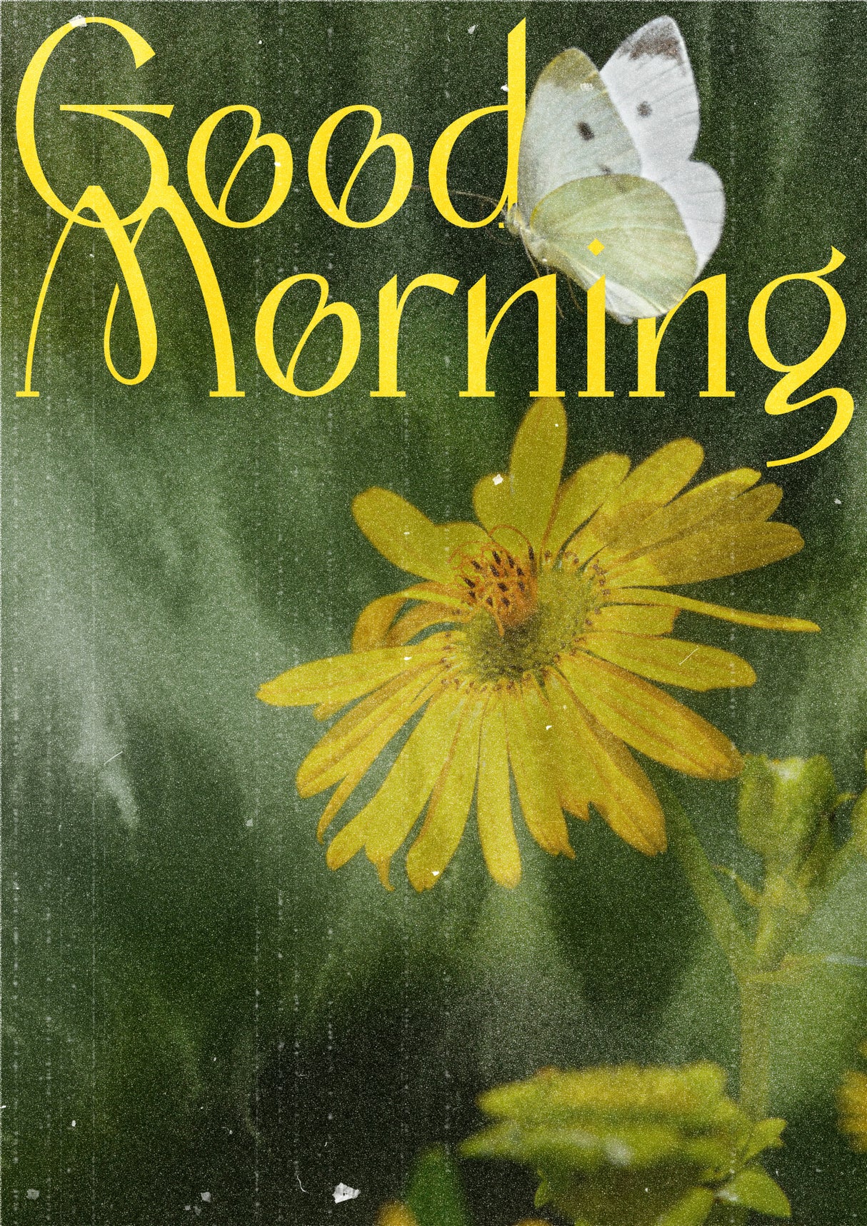 Good Morning Poster Poster och Canvastavla
