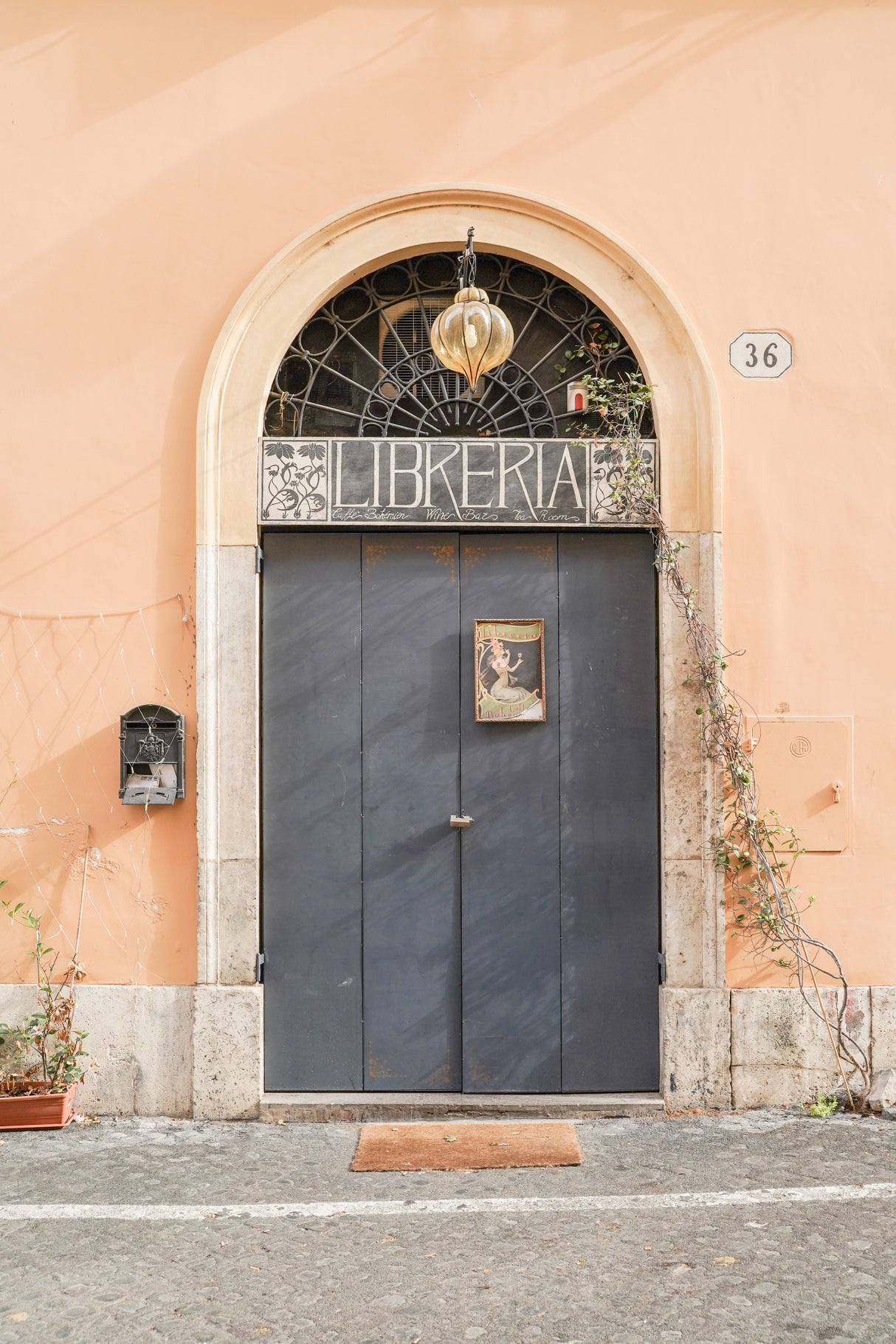 The Libreria Door Poster och Canvastavla