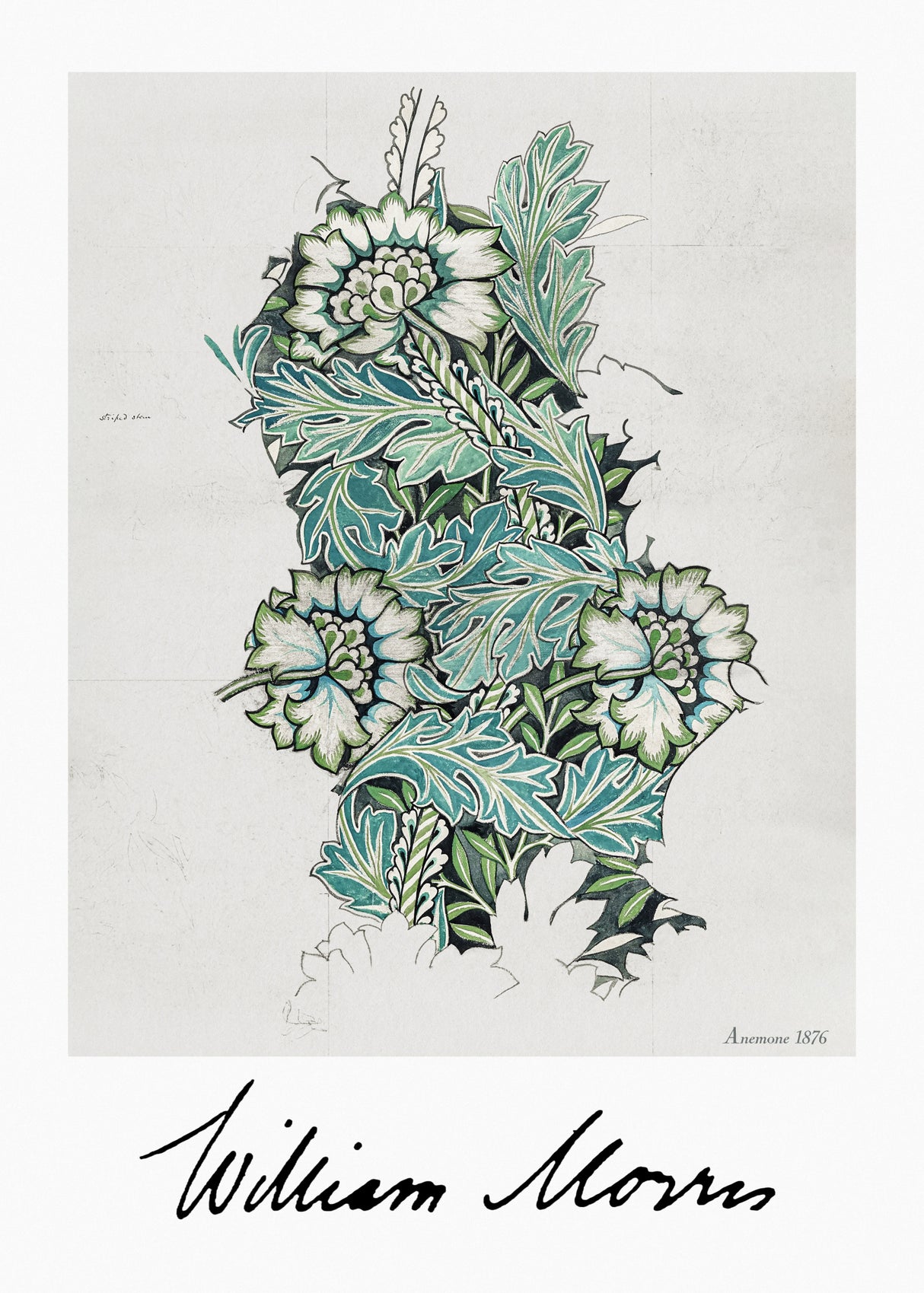 Anemone Poster och Canvastavla