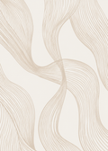 Contour Lines Flow Poster