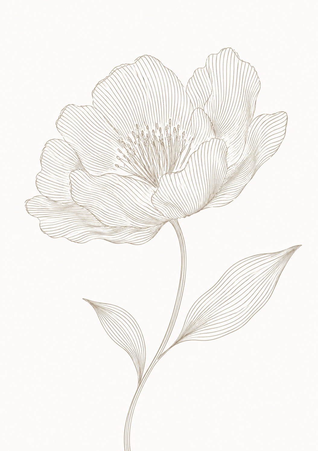 Lines Flower Poster