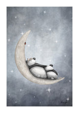 Sov Gott Panda