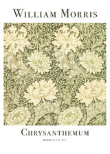 Chrysanthemum Poster och Canvastavla