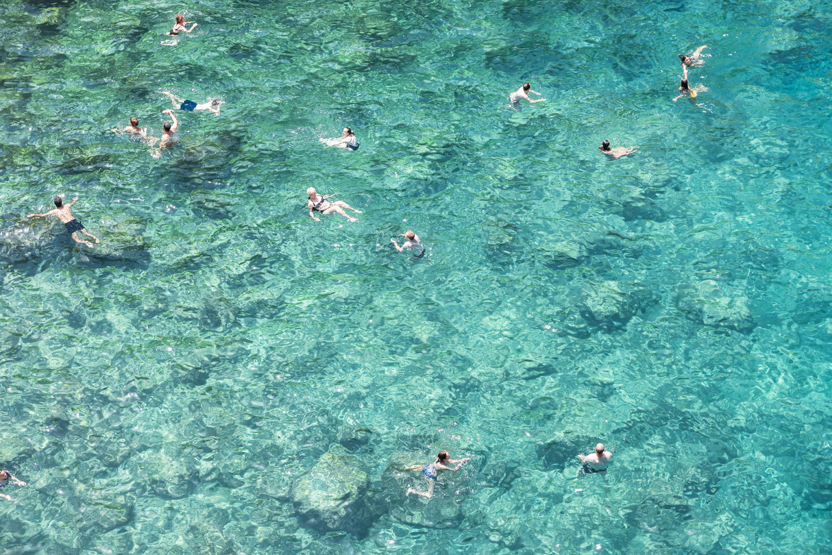 Swimming in the sea Poster och Canvastavla