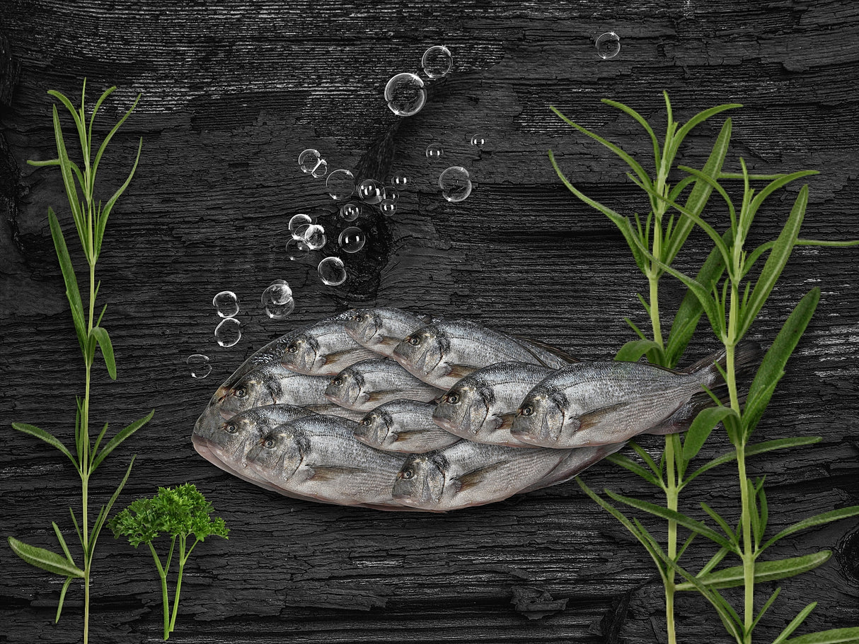 even a big fish needs a team Poster och Canvastavla