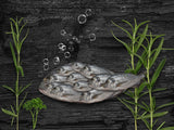 even a big fish needs a team Poster och Canvastavla