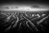 After the storm Poster och Canvastavla