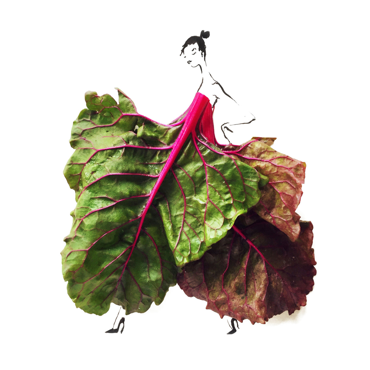 Chard On Poster och Canvastavla