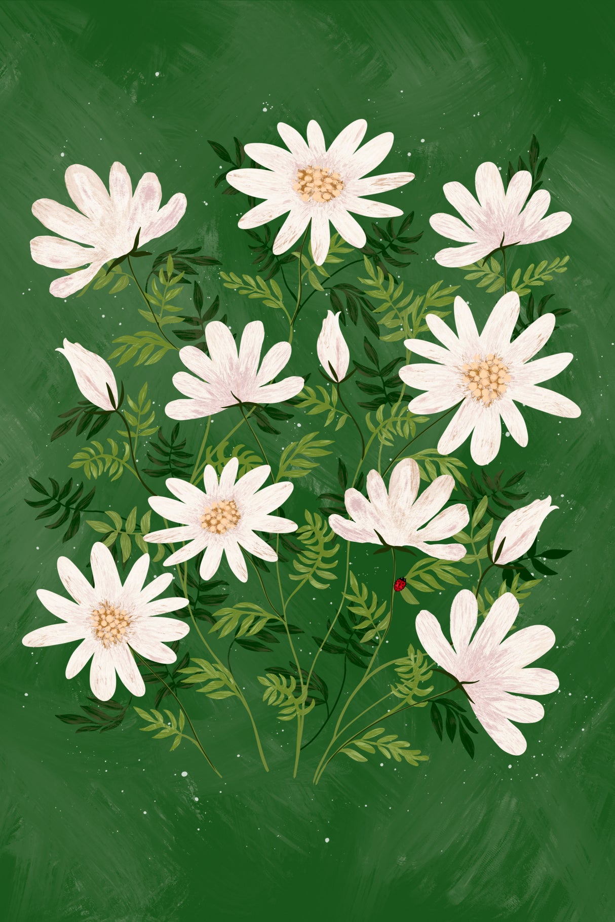 Daisies Poster och Canvastavla