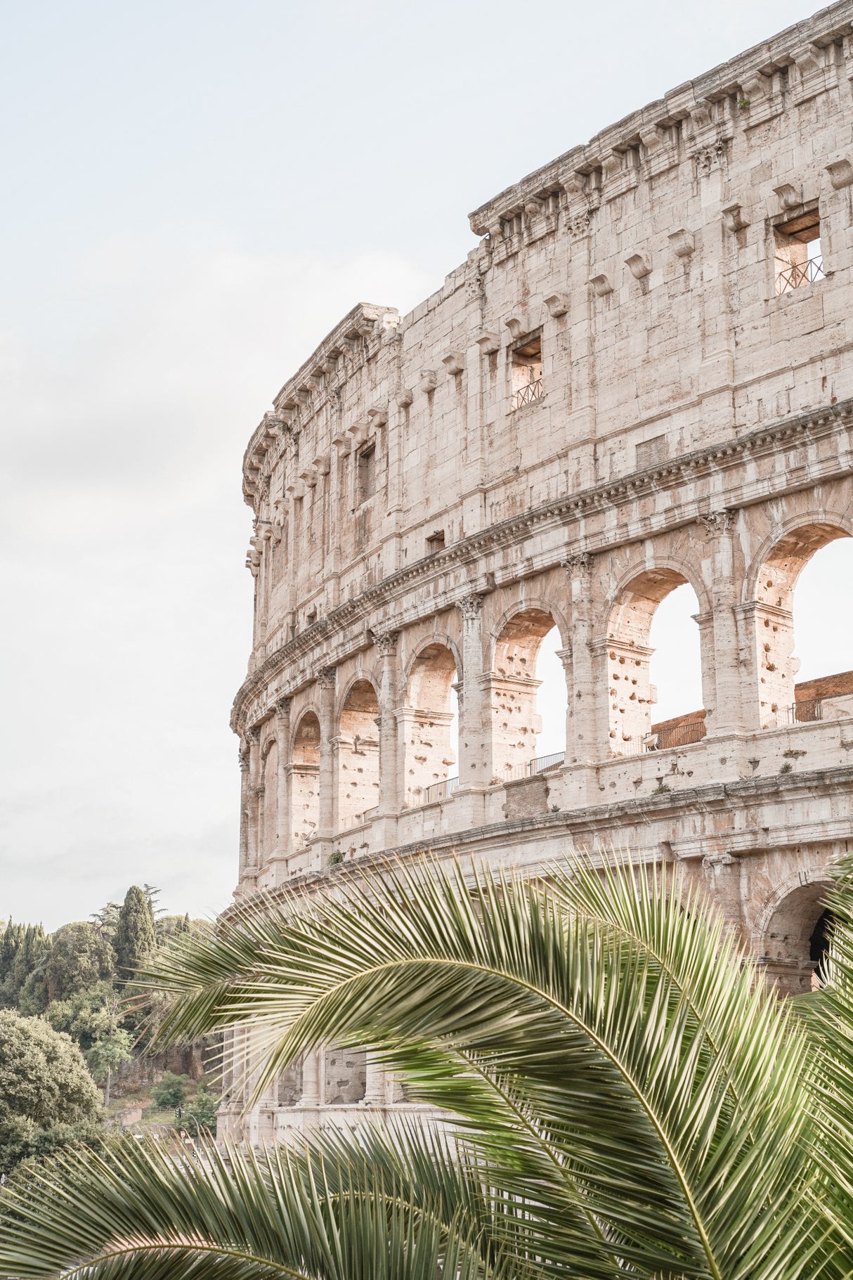 Colosseum Poster och Canvastavla