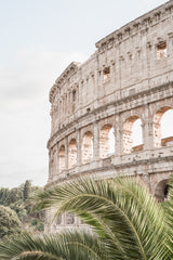 Colosseum Poster och Canvastavla