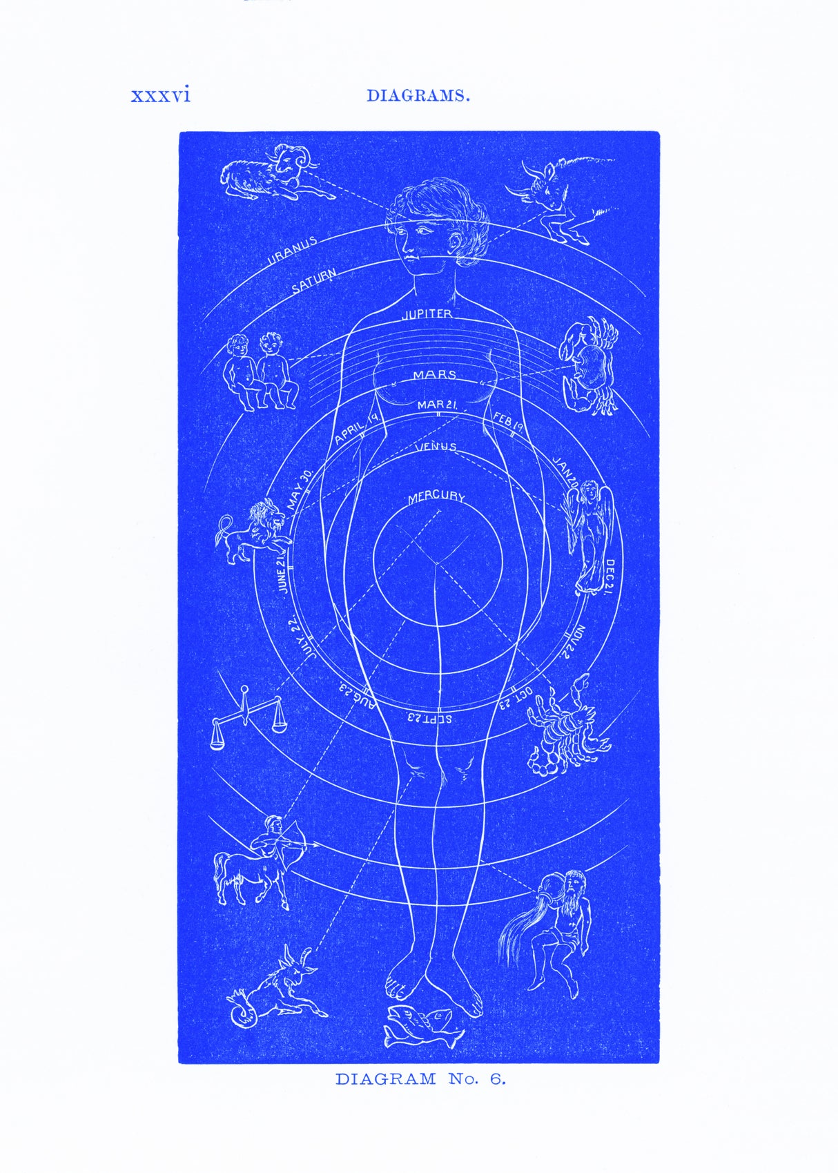Solar Biology No. 6  blue (creative ed.) Poster och Canvastavla