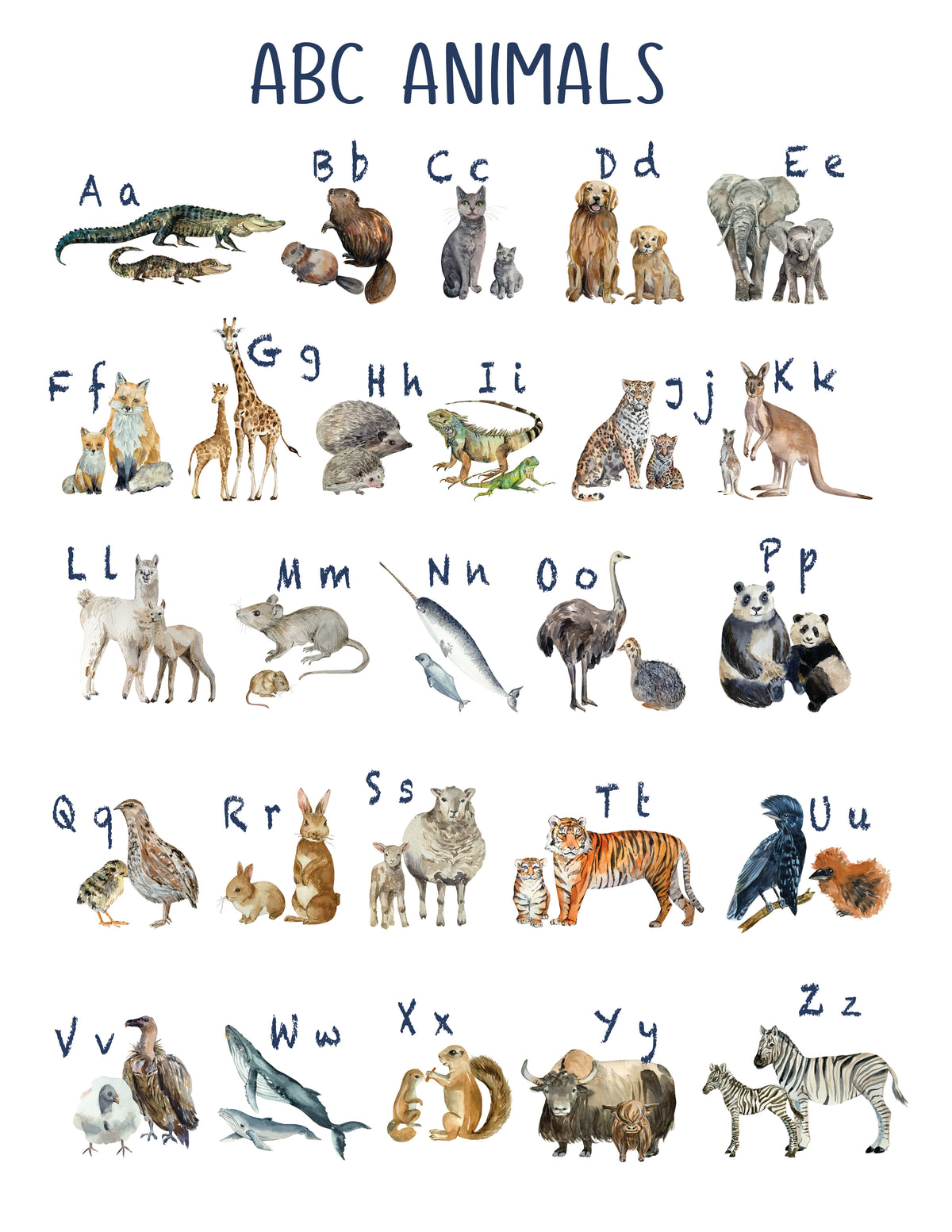Abc Animals Viktor