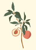 Abstract Plant Poster