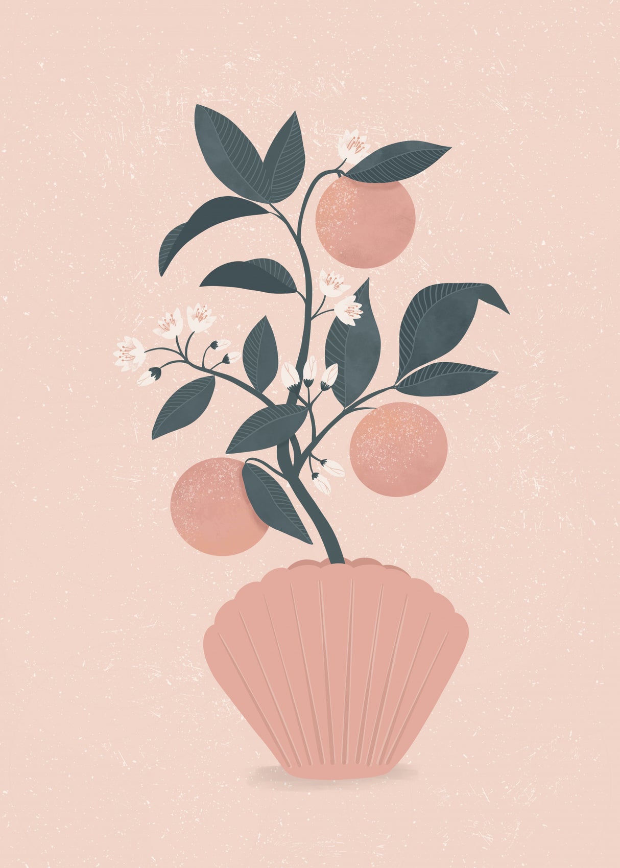 Tangerine Shell Poster och Canvastavla