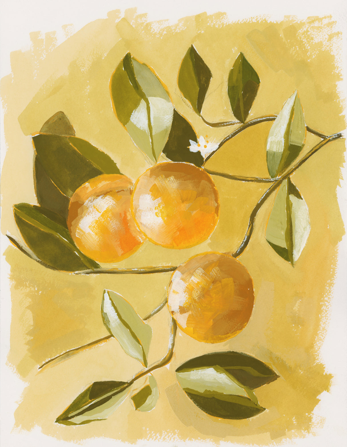 Orange Tree Poster och Canvastavla