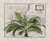 Tropical Empire No2 Poster och Canvastavla