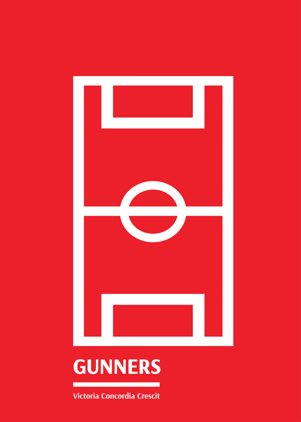Arsenal 1 Football Pitch