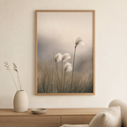 Cotton Grass Poster