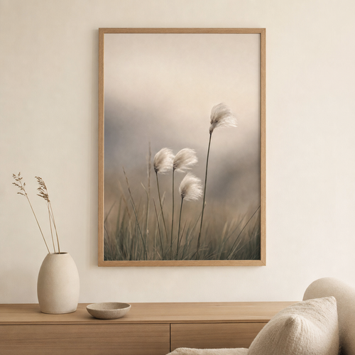 Cotton Grass Poster