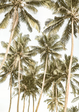 Island Bliss Poster och Canvastavla