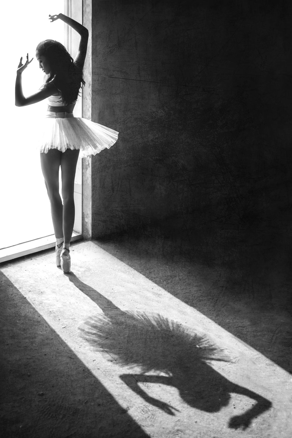 Shadow Dance Poster och Canvastavla