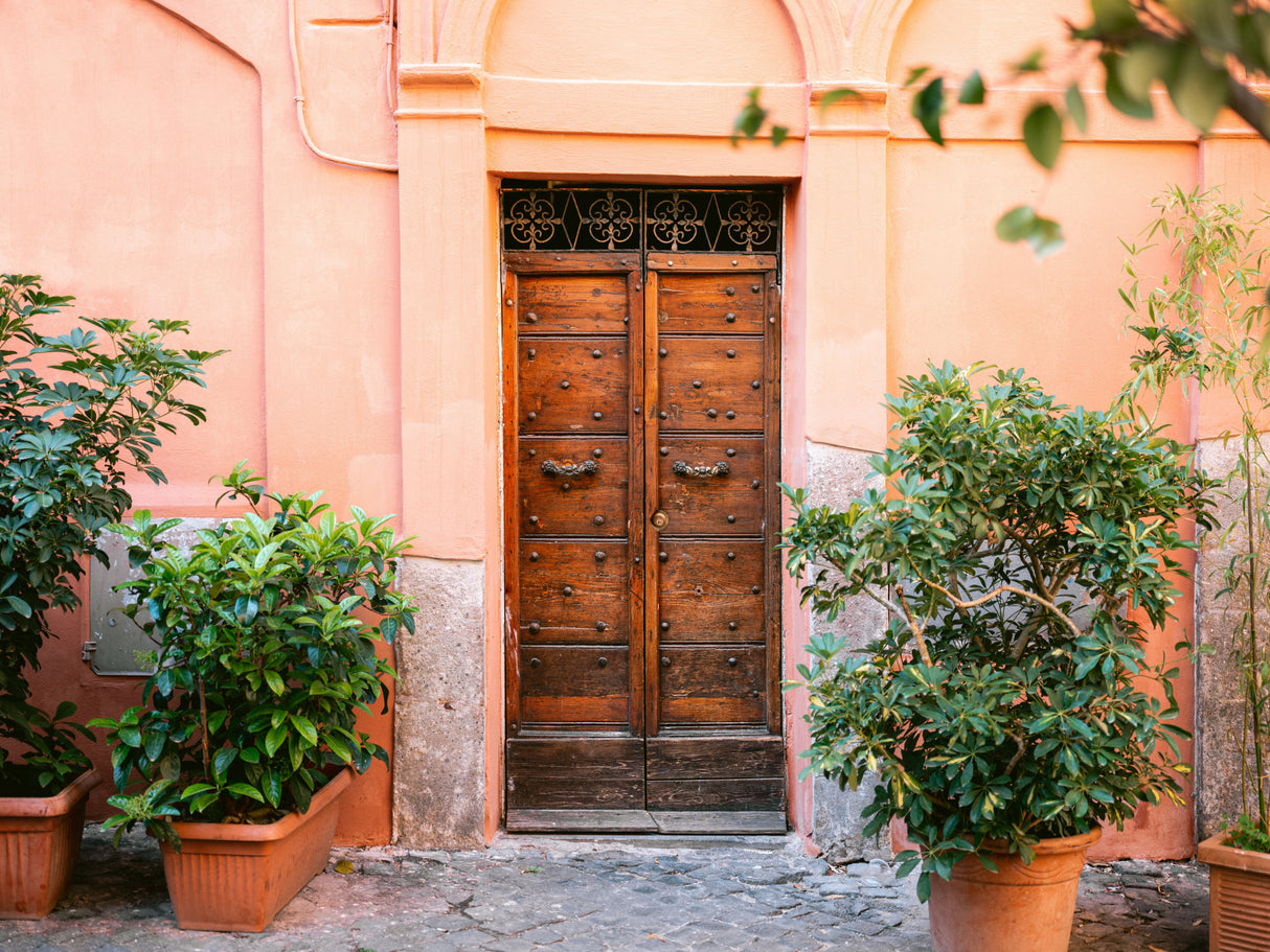 The Trastevere door Poster och Canvastavla