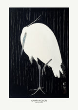 Egret In The Rain Poster och Canvastavla