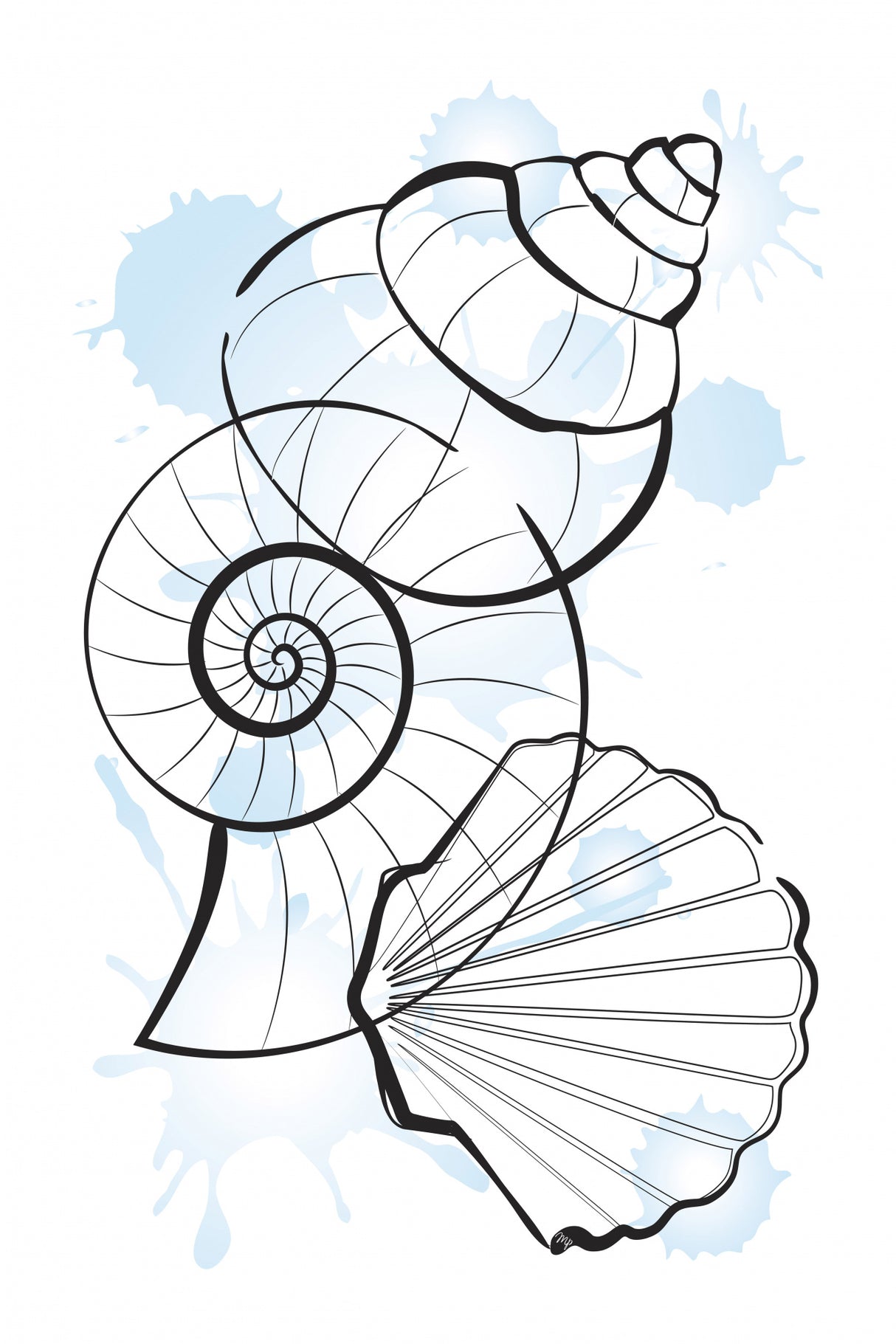 Shells Poster och Canvastavla