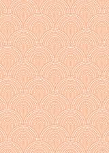 Dotty Peach Fuzz Poster och Canvastavla