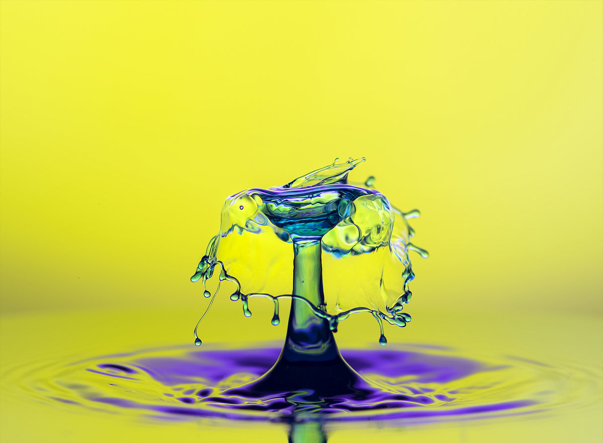 Dancing Drops Poster och Canvastavla