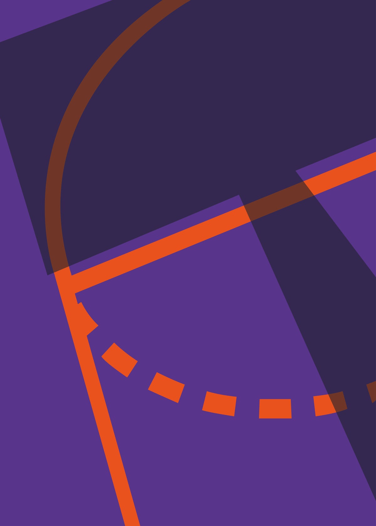Basketball Purple Orange