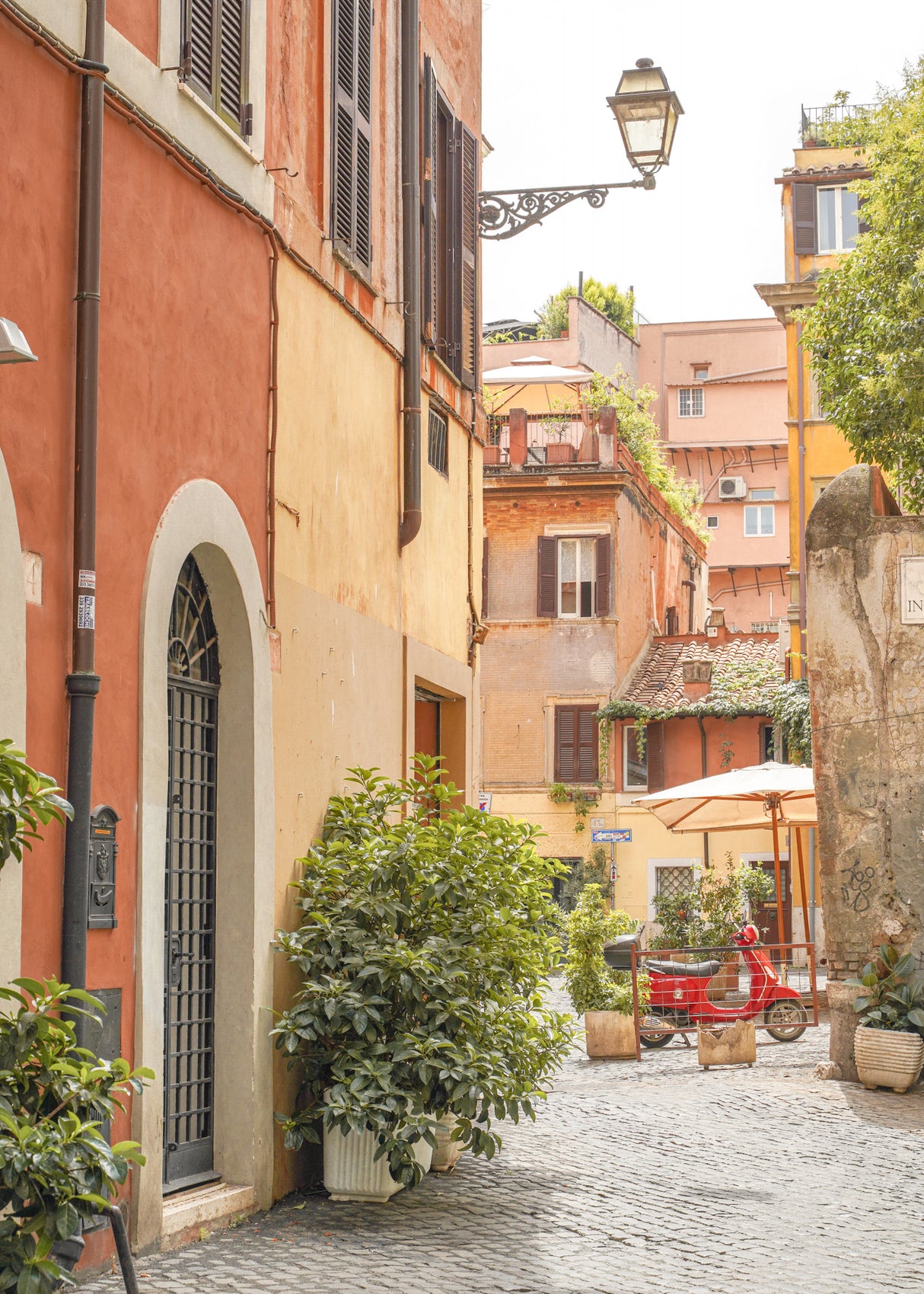 Trastevere, Rome Poster och Canvastavla