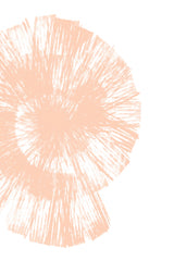 Peach Shell Poster och Canvastavla
