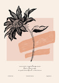 Black Botanical Study