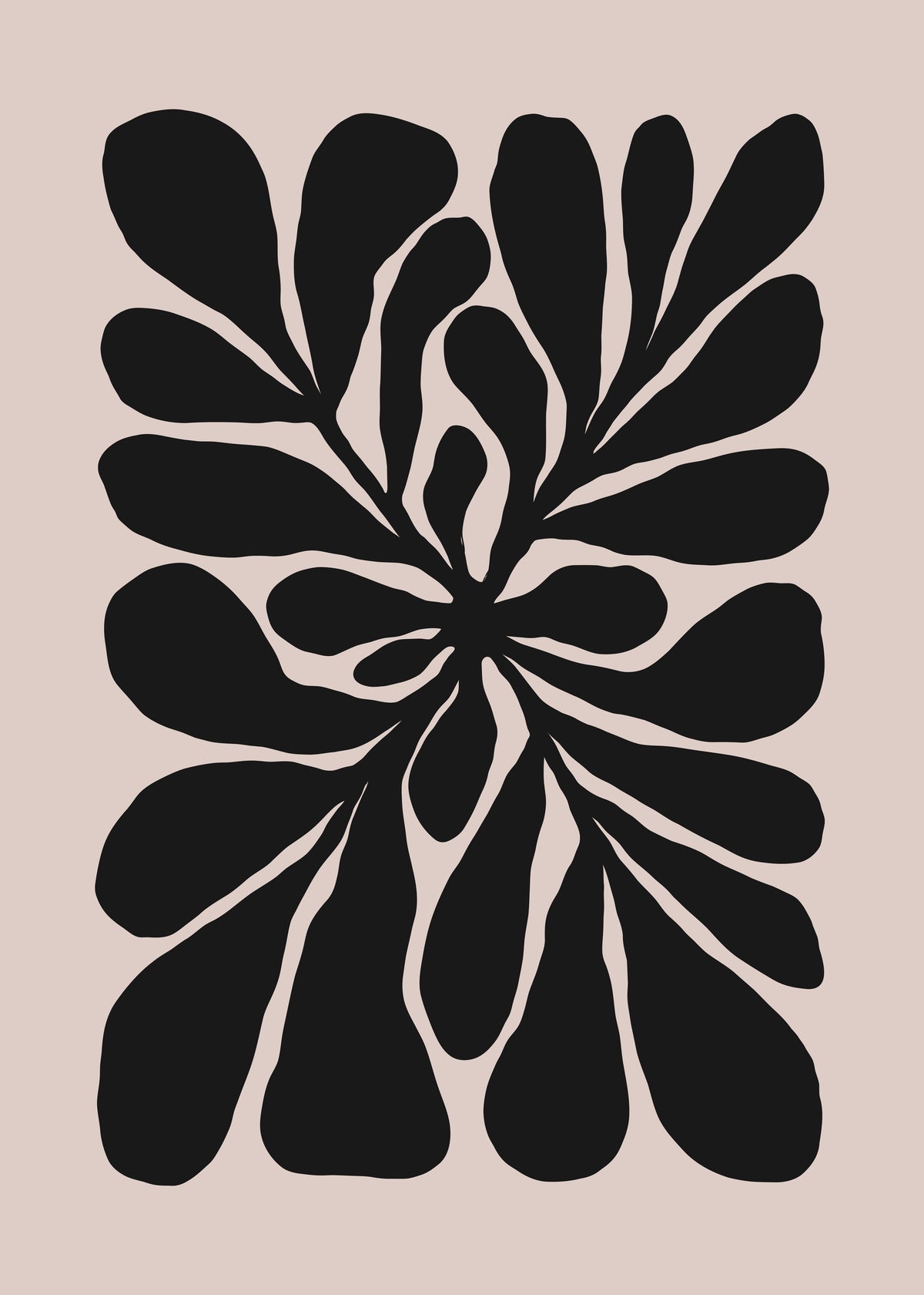 Black Petal Bloom