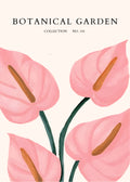 Blush Tulip Close-Up