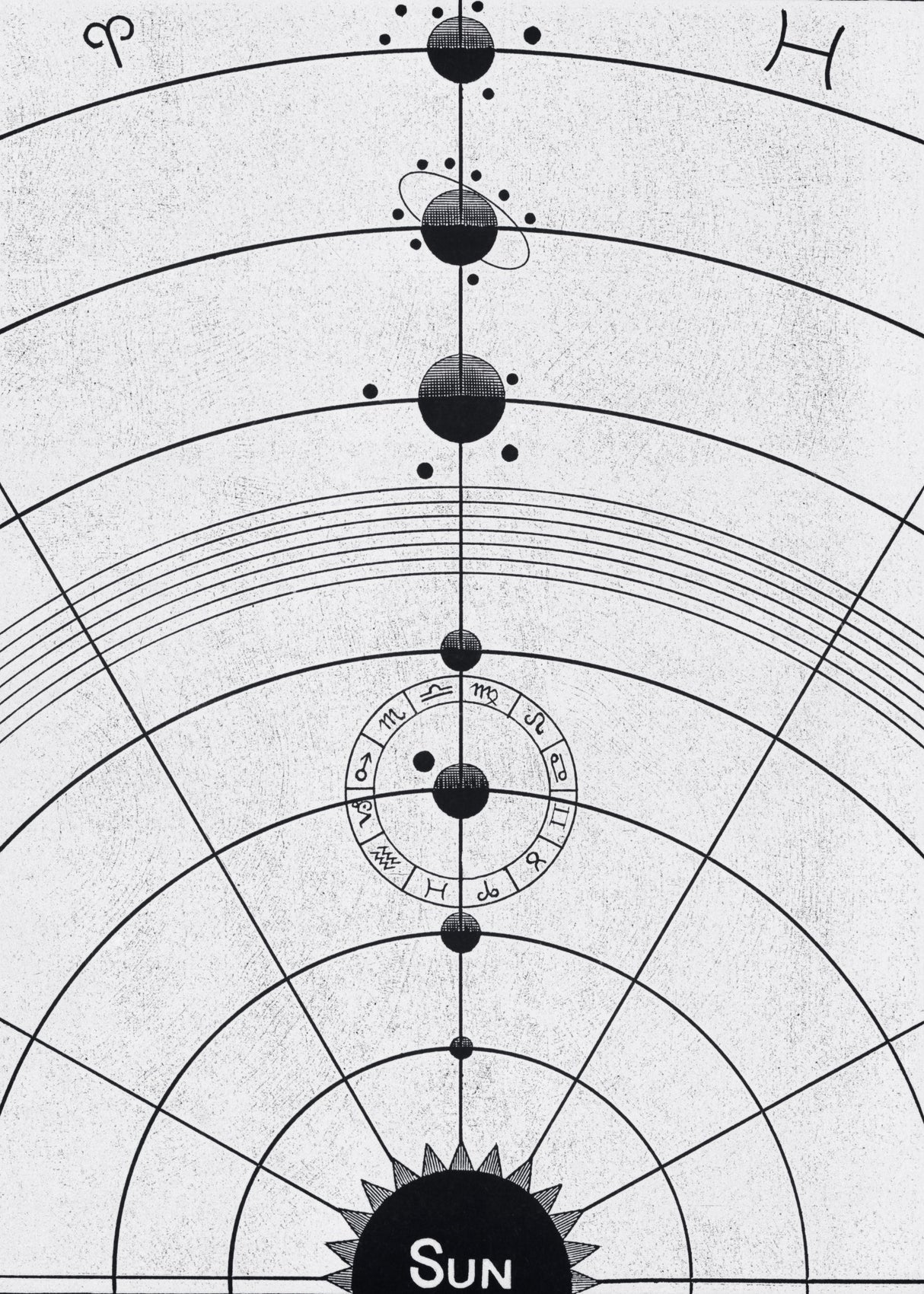 Solar Biology No. 5 W (Creative Ed.) full Poster och Canvastavla