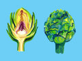 Artichokes Poster och Canvastavla
