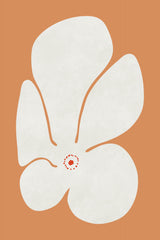 White Poppies Flower Poster och Canvastavla