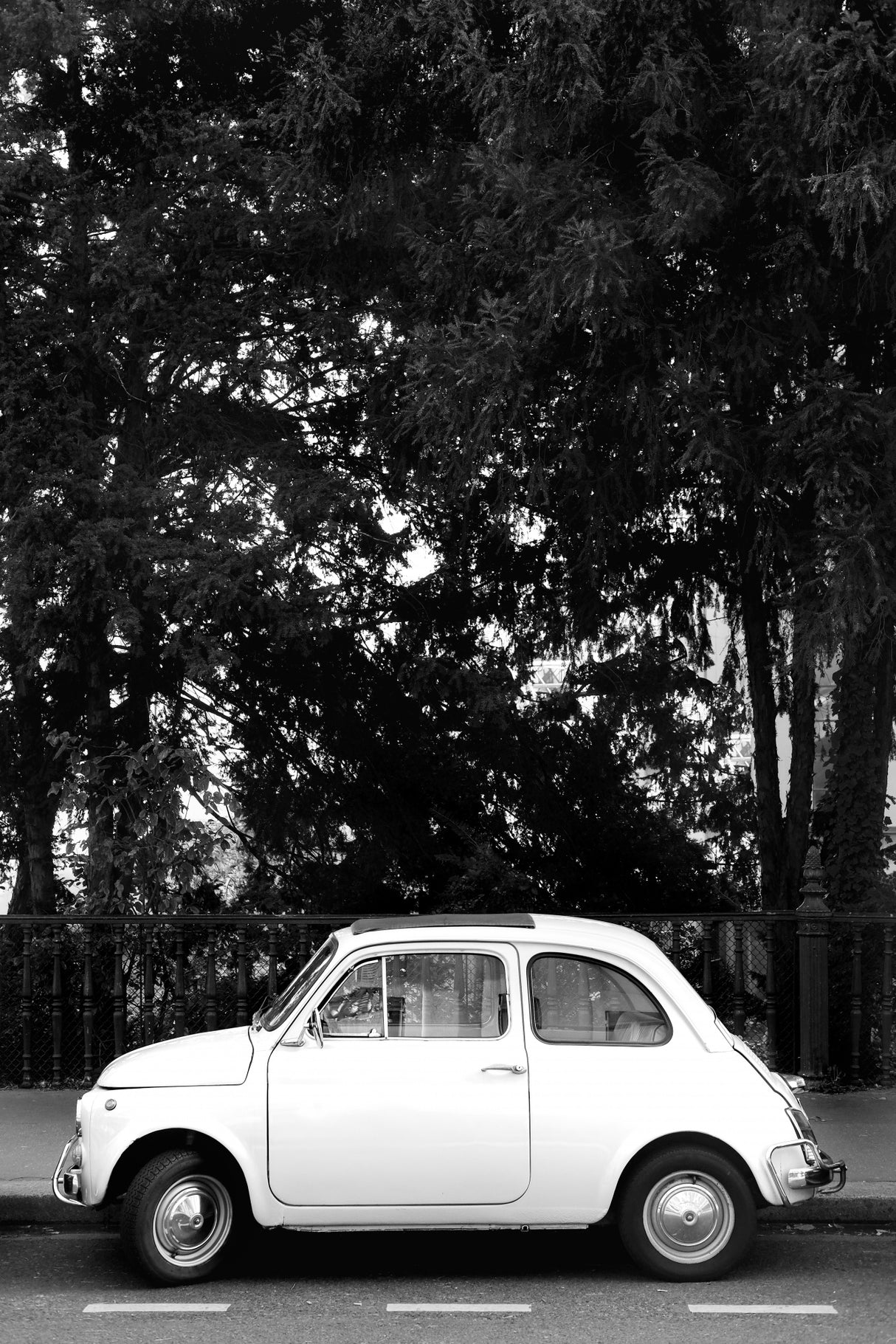 Mini Car B&w Poster och Canvastavla