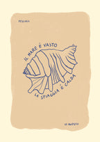 Seashell Poster och Canvastavla