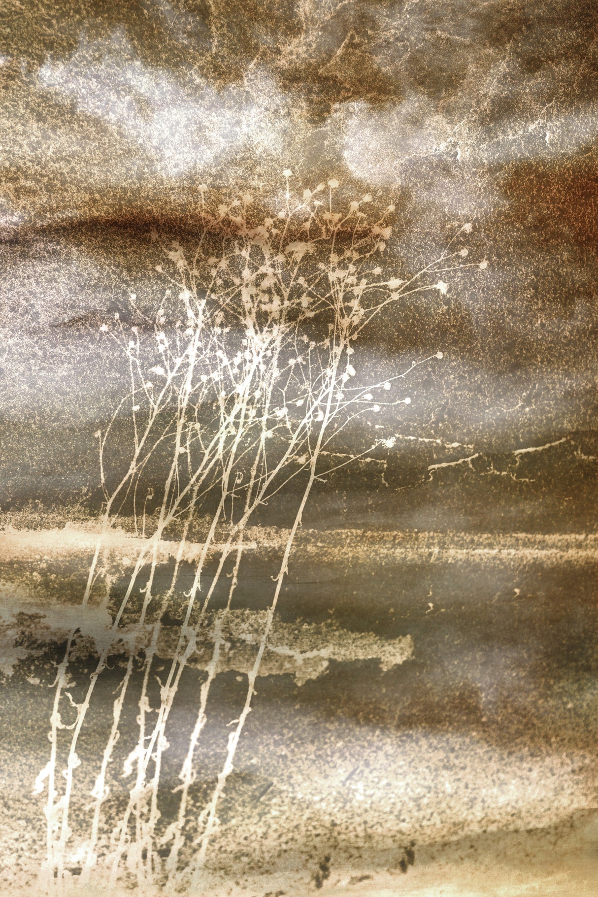 On the shore Poster och Canvastavla