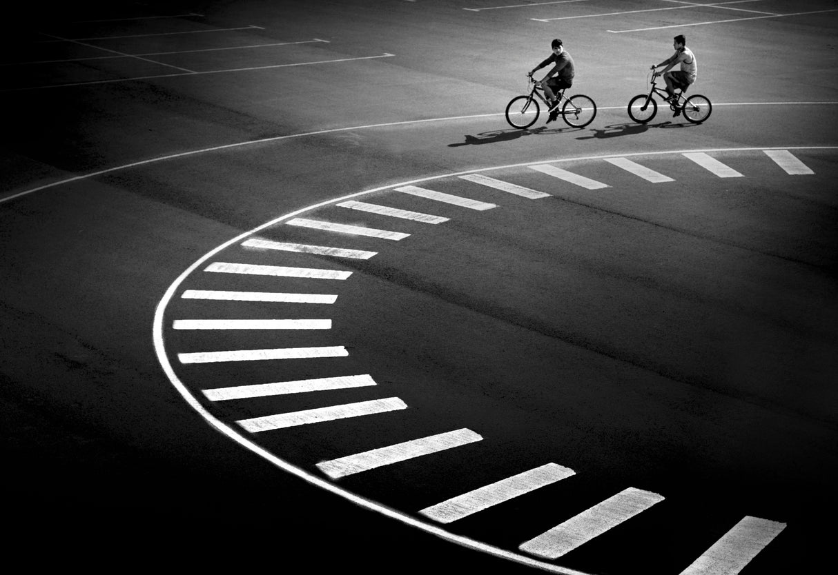 Bicycle track Poster och Canvastavla