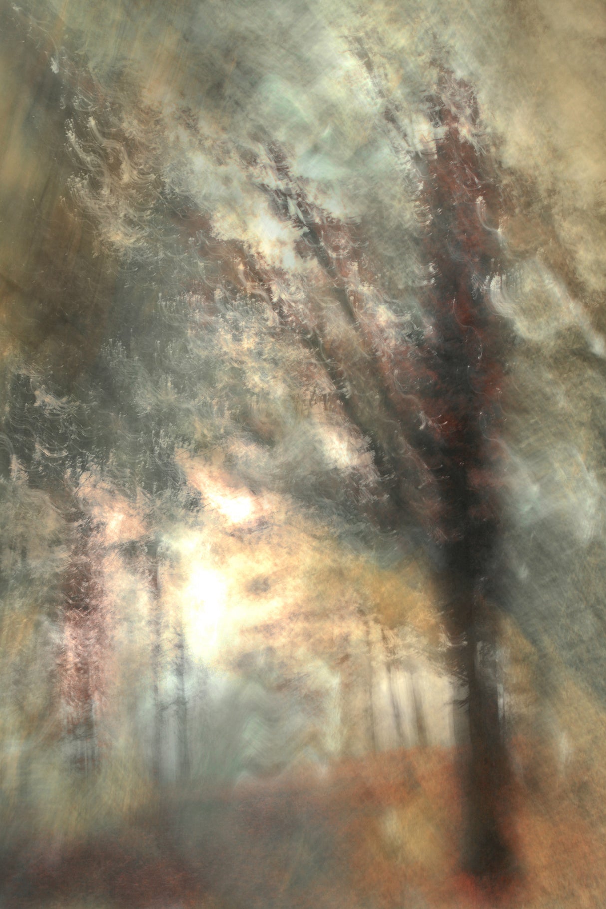 Autumn morning Poster och Canvastavla