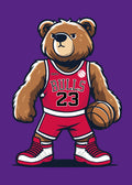 Chicago Bulls345